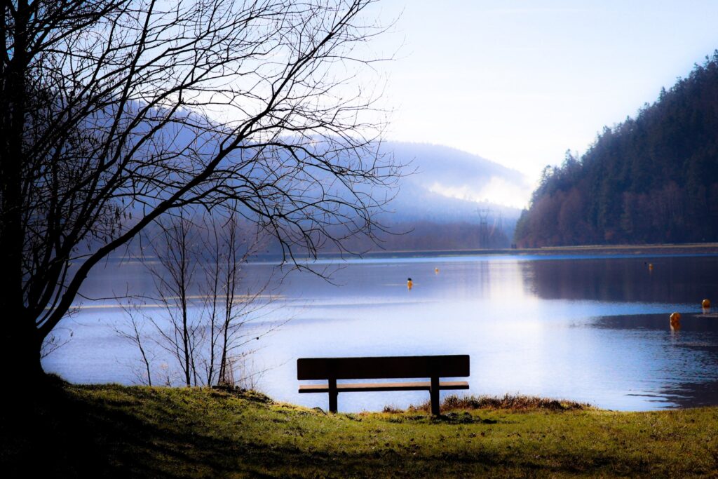 Eine leere Holzbank steht unter einem Baum am ruhigen See; über den bewaldeten Hügeln liegt leichter Nebel.